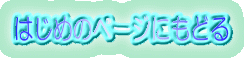 ͂߂̃y[Wɂǂ

